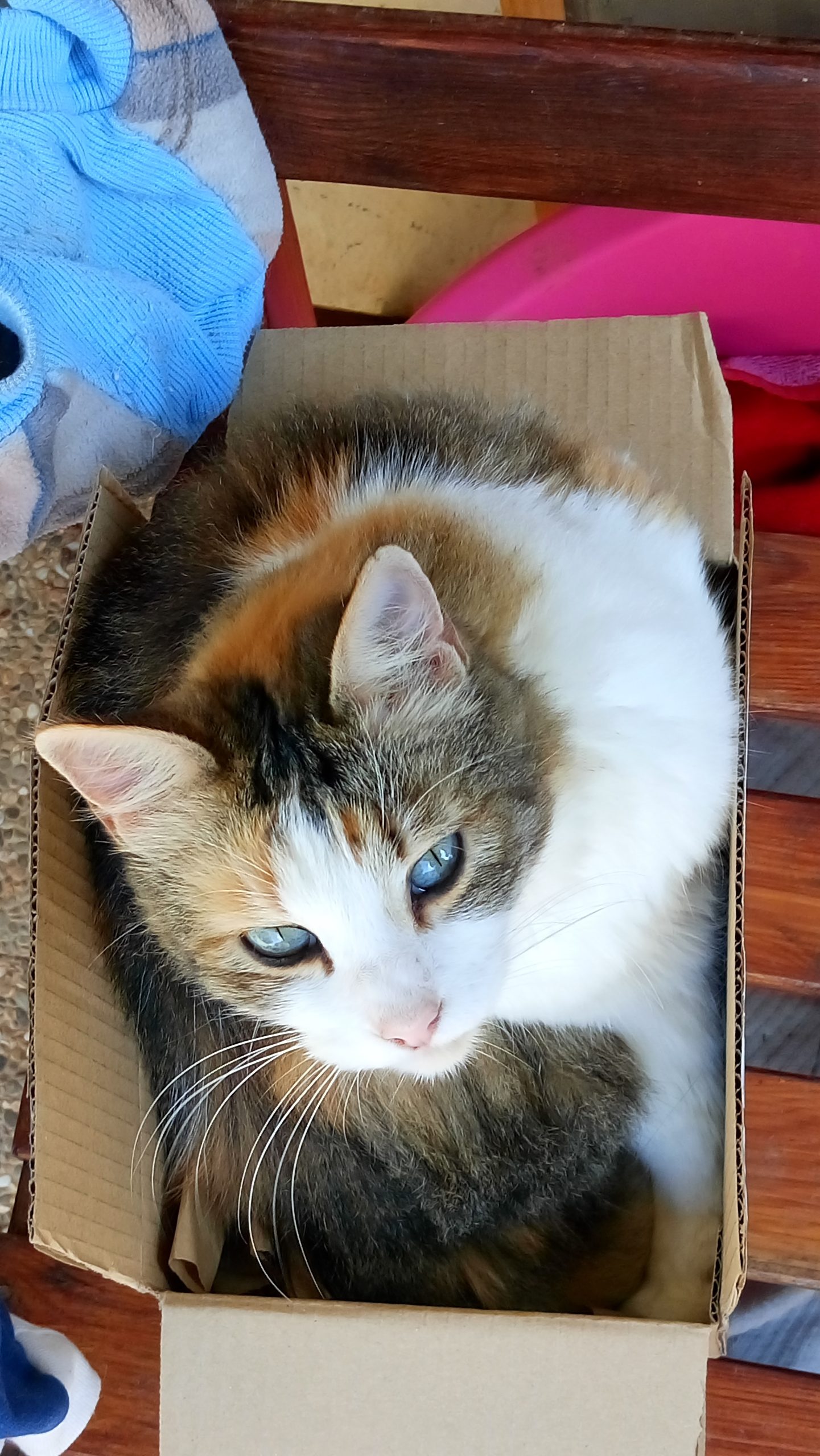 Jeta, una de las habitantes de Santuritos